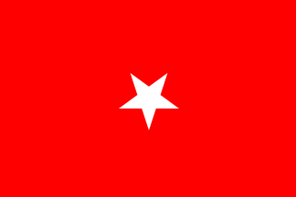 [One-star general flag]